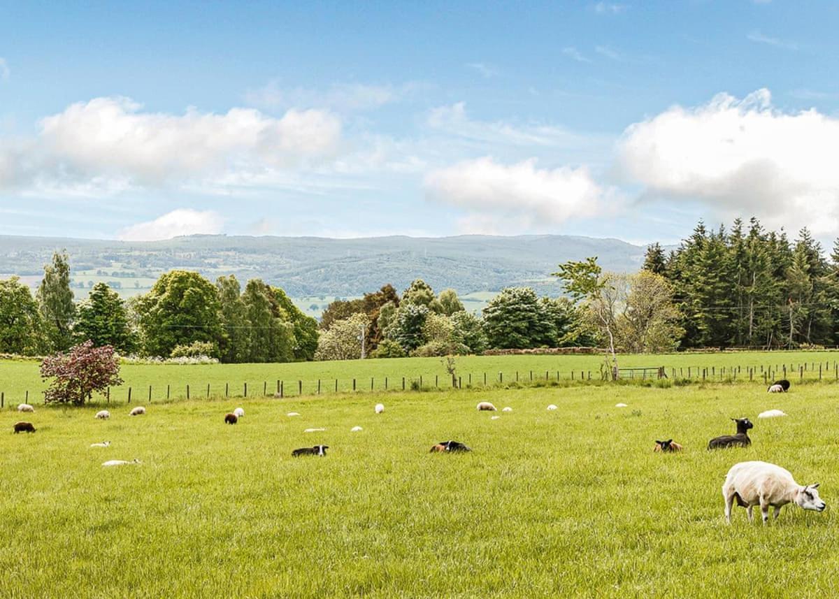 Kessock Highland Lodges North Kessock Eksteriør billede